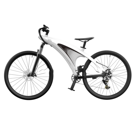 Vélo électrique Q5 Vue 2