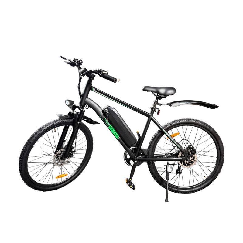 Vélo électrique E19